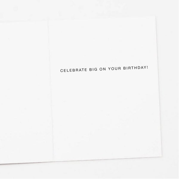 Disco Raccoon Birthday Card