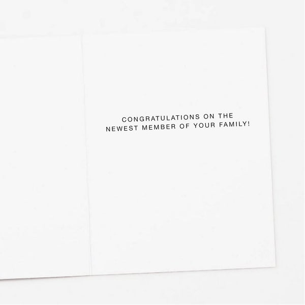 Hello Baby Mini Daisies, New Baby Card