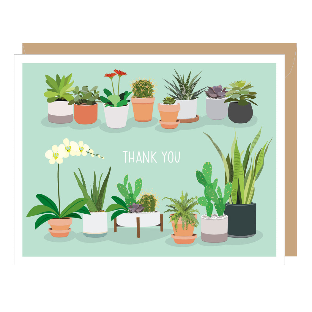 Succulents Thank You Note Card