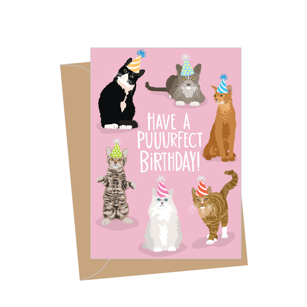 Mini Birthday Cats, Folded Enclosure Card