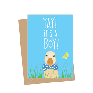 Mini New Baby Boy Duckling, Folded Enclosure Card