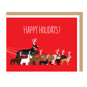 Dogwalk Holiday Card