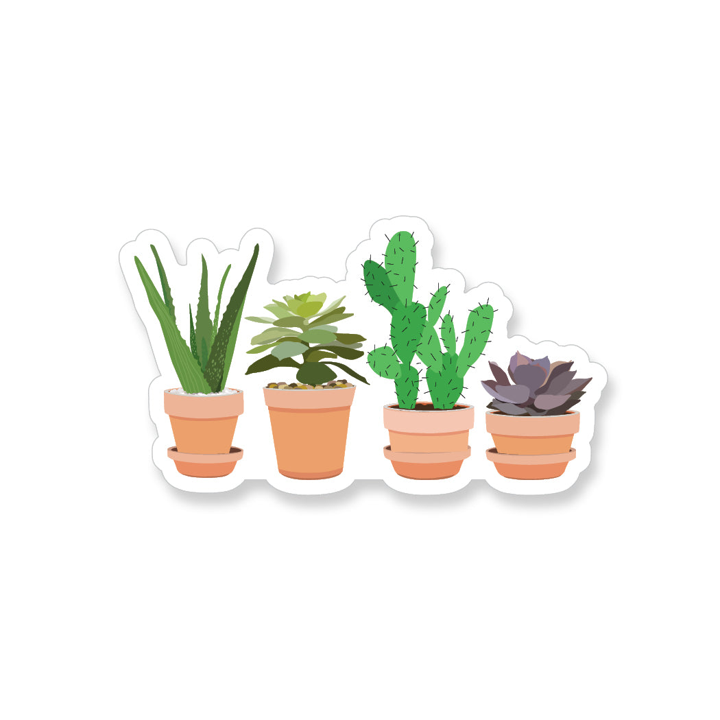 Four Potted Succulents, Vinyl Sticker - ST167