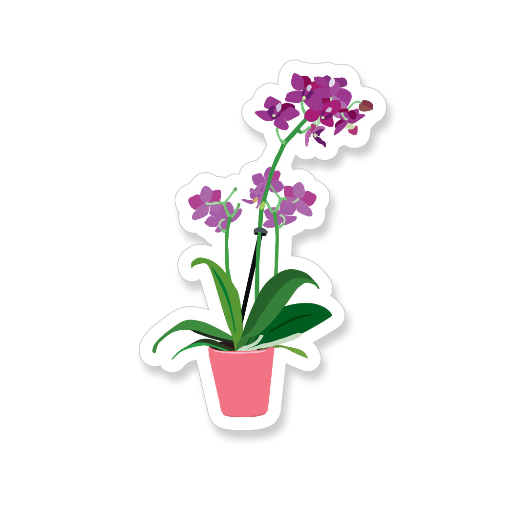 Tall Purple Orchid, Vinyl Sticker