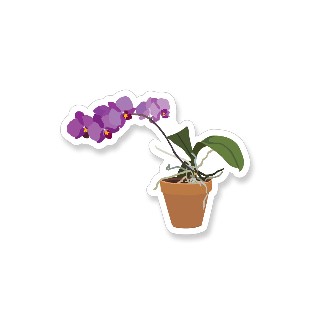 Short Purple Orchid, Vinyl Sticker